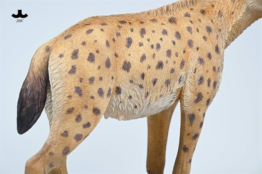 ★★★★わんお★★★★ Amazon | BACALYSO | JXK 1/6 サイズ ブチハイエナ 斑鬣犬 哺乳